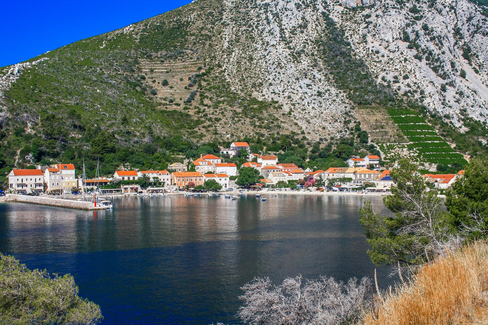 Trstenik