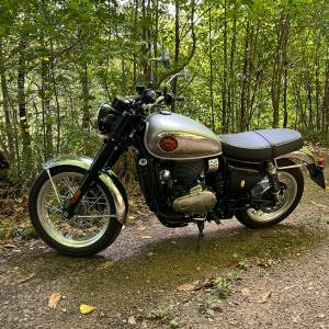 bsa-10_original